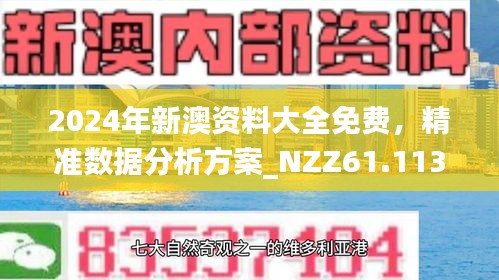 2024新澳资料免费精准17期-精选解释解析落实