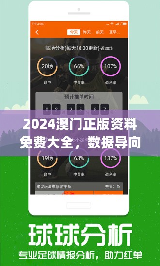 2024年新澳门王中王免费-精选解释解析落实